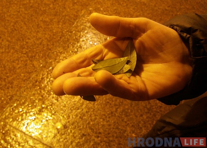 Жыў у адзіноце і стаў валацугам: памёр самы стары вулічны музыка Гродна