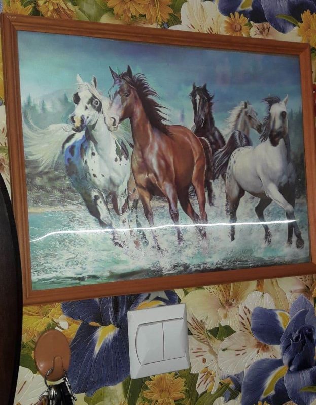 “Увидел лошадь и понял: хочу быть рядом всегда” Артур не слышит и не говорит, но смог найти общий язык с лошадьми и цветами