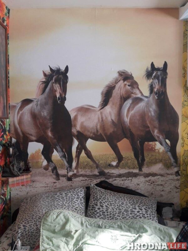 “Увидел лошадь и понял: хочу быть рядом всегда” Артур не слышит и не говорит, но смог найти общий язык с лошадьми и цветами