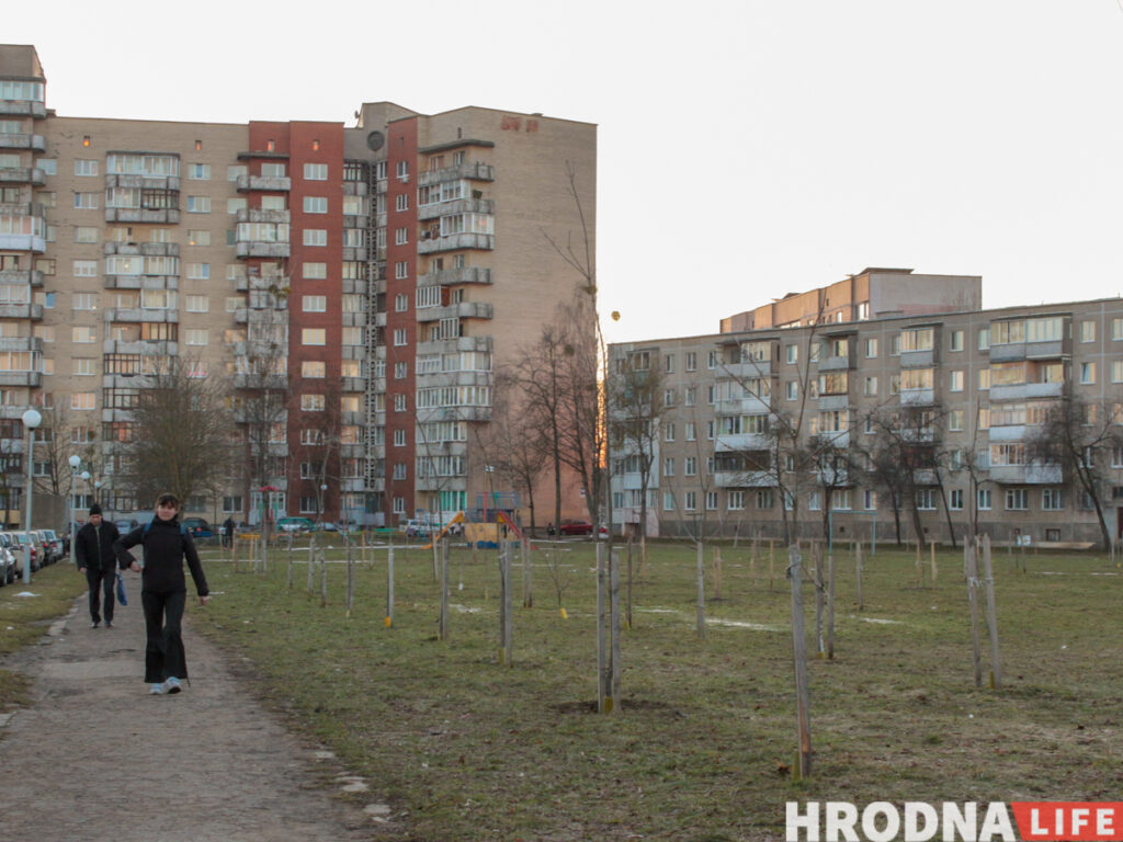 Говорят:  “деревья”, а сажают “прутики”. Почему Гродно до сих пор не утопает в парках, и зачем нам схема озеленения
