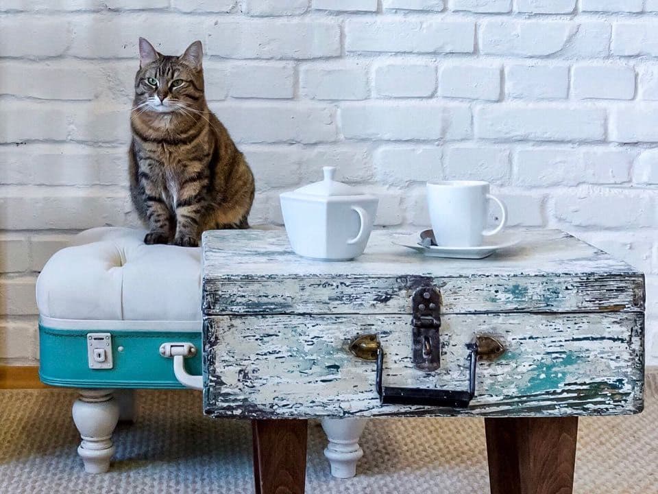 «Сталинка» и кошки на чемоданах. Декоратор из Гродно – о высоких потолках и рассветах тихого центра