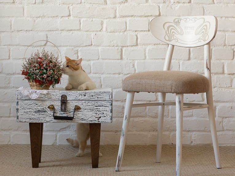 «Сталинка» и кошки на чемоданах. Декоратор из Гродно – о высоких потолках и рассветах тихого центра