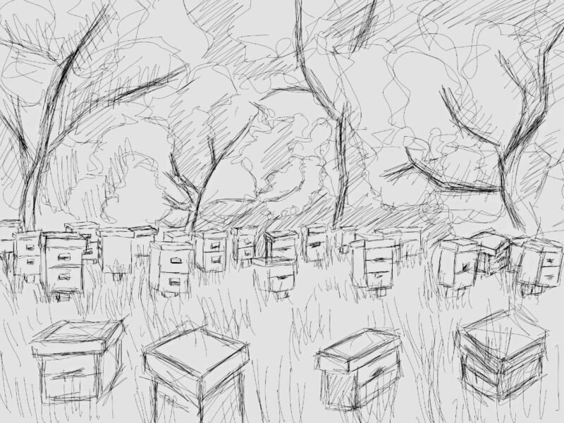 Пасля вайны вайна не скончылася. Гродзенка расказала, як здзейсніла мару бацькі, якога забілі бандыты