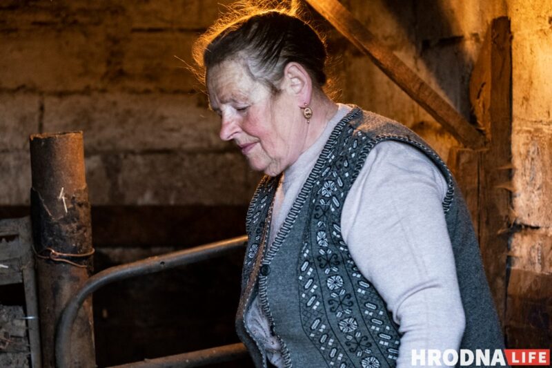 Фотоистория про 22 поросенка. У хозяйки из Гродненской области свиноматка родила рекорд