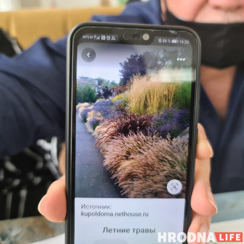 Оранжерея, динозавры и амфитеатр. Что появится возле дворца Четвертинских в Гродно