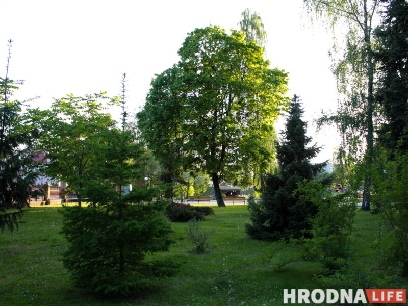 Оранжерея, динозавры и амфитеатр. Что появится возле дворца Четвертинских в Гродно