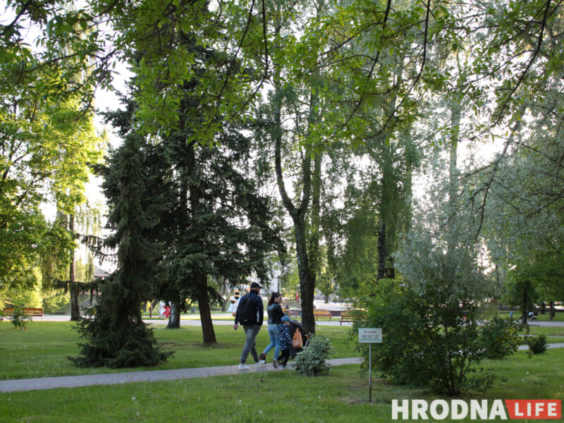 Оранжерея, динозавры и амфитеатр. Что появится возле дворца Четвертинских в Гродно