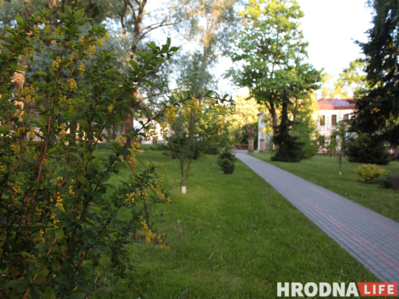 Оранжерея, динозавры и амфитеатр. Что появится возле дворца Четвертинских в Гродно