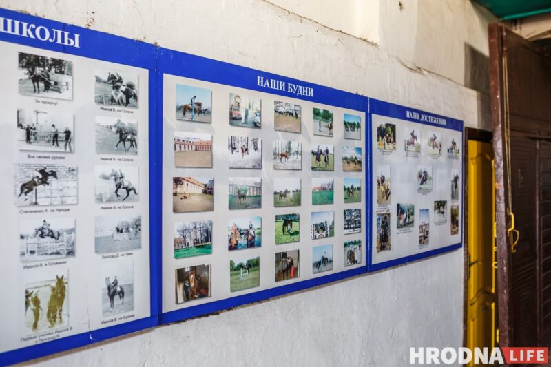 Блеск и нищета белорусского коневодства. Лошади приносят «золото», но на крышу и окна для них денег нет