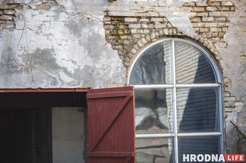 Блеск и нищета белорусского коневодства. Лошади приносят «золото», но на крышу и окна для них денег нет