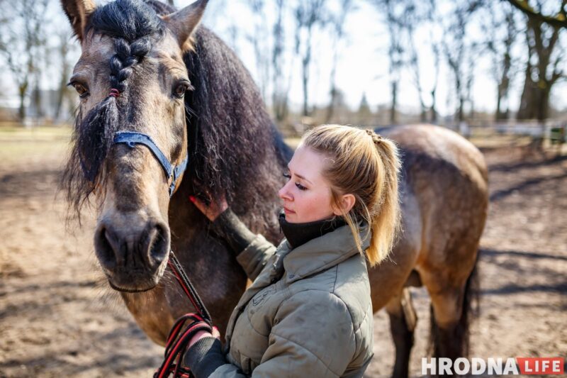 Блеск и нищета белорусского коневодства. Лошади приносят «золото», но на крышу и окна для них денег нет