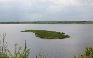 Почти 10 лет, а пляжей нет. На Гродненском море люди ждут инфраструктуру, а власти надеются на частников Почти 10 лет, а пляжей нет. На Гродненском море люди ждут инфраструктуру, а власти надеются на частников