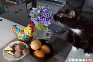 Пасха прошла, яйца остались: 3 рецепта блюд, в которых варёные яйца -  главный продукт