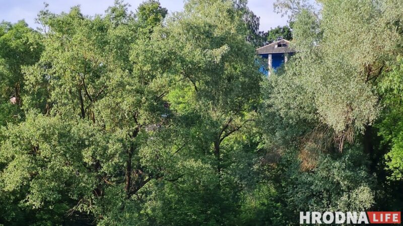 По Неману с "Ольгой Соломовой". Как винтажный пароход возил гродненцев на дачу, в Друскининкай и просто по реке