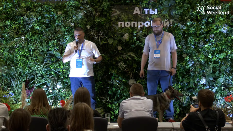 Новыя лапкі для коцікаў і новае жыццё вузкакалейкі: якія праекты Гродзеншчыны выйгралі прызы на Social Weekend