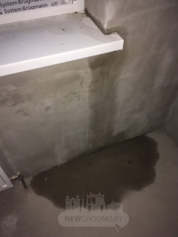 Падзенне дрэў, град, затапленне цэнтра. У Гродне прайшла першая летняя навальніца