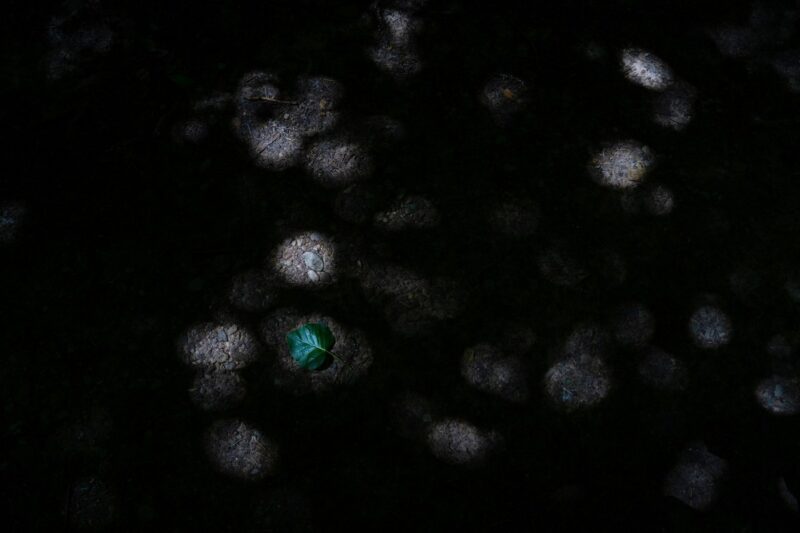 "Связь со спутниками потеряна". Александр Саенко - о новой выставке, "подводном плавании" и призрачной надежде