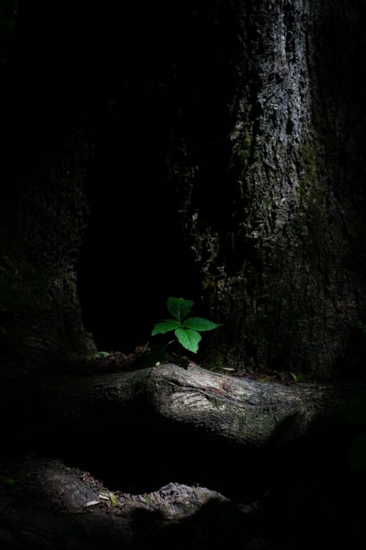 "Связь со спутниками потеряна". Александр Саенко - о новой выставке, "подводном плавании" и призрачной надежде