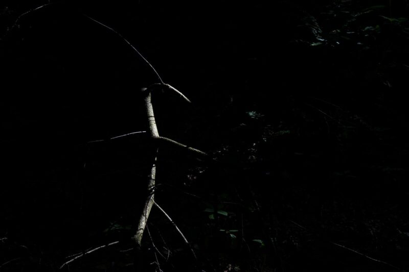 "Связь со спутниками потеряна". Александр Саенко - о новой выставке, "подводном плавании" и призрачной надежде