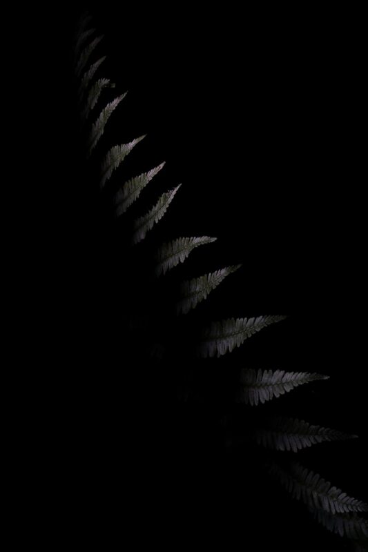 "Связь со спутниками потеряна". Александр Саенко - о новой выставке, "подводном плавании" и призрачной надежде