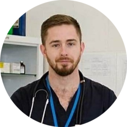 «Таблетки от жары ещё не придумали». Ветеринар рассказал, что сделать, чтобы ваш кот и пёс легче перенесли жару