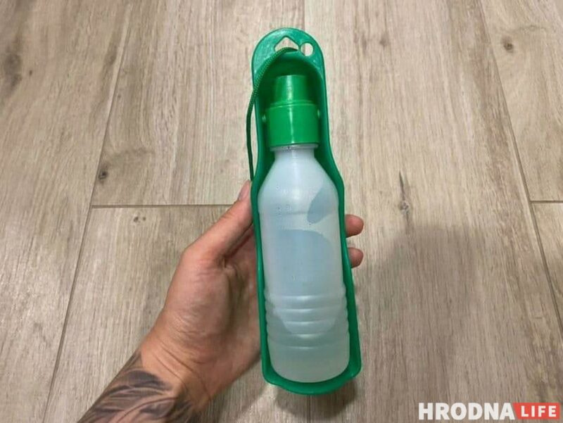 «Таблеткі ад спёкі яшчэ не прыдумалі». Ветэрынар расказаў, што зрабіць, каб ваш кот і сабака лягчэй перанеслі гарачыню