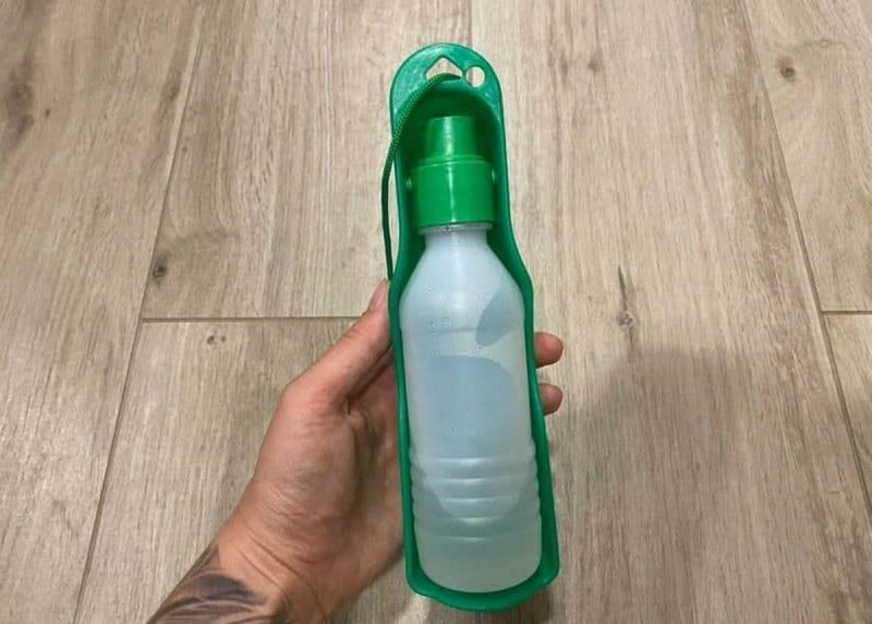 «Таблетки от жары ещё не придумали». Ветеринар рассказал, что сделать, чтобы ваш кот и пёс легче перенесли жару