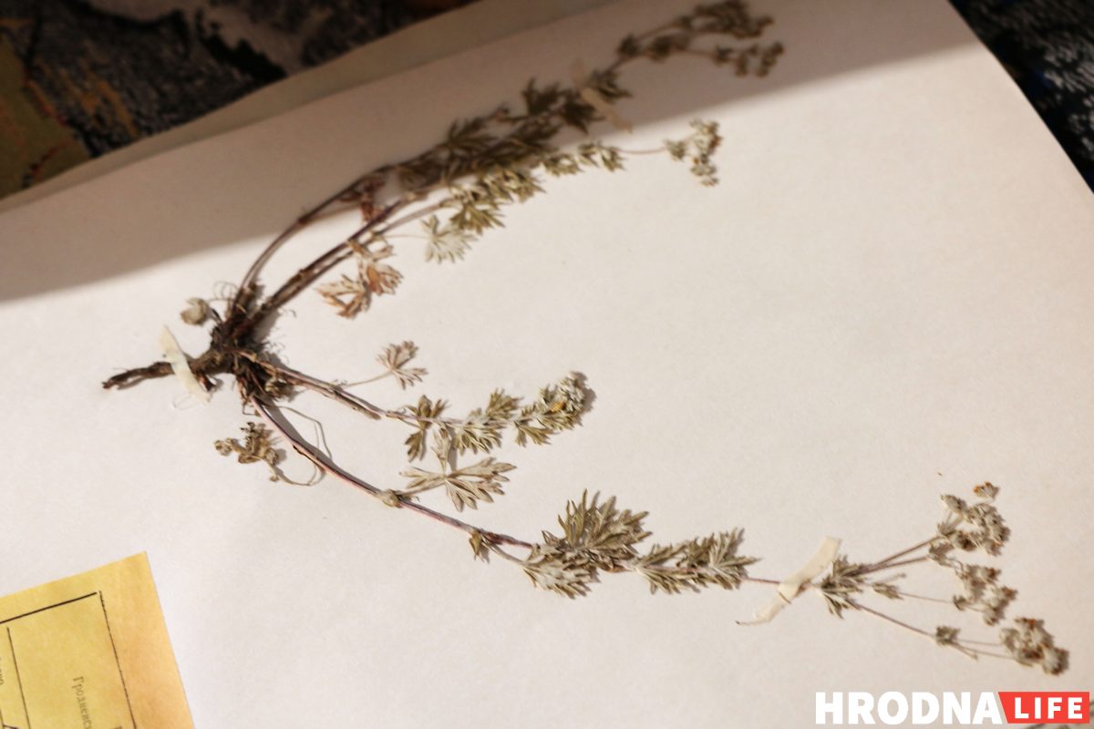 "Связь со спутниками потеряна". Александр Саенко - о новой выставке, "подводном плавании" и призрачной надежде