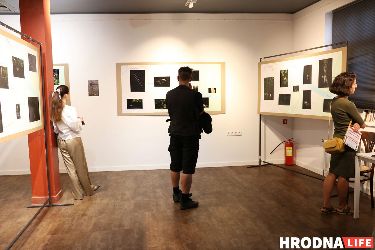 "Связь со спутниками потеряна". Александр Саенко - о новой выставке, "подводном плавании" и призрачной надежде