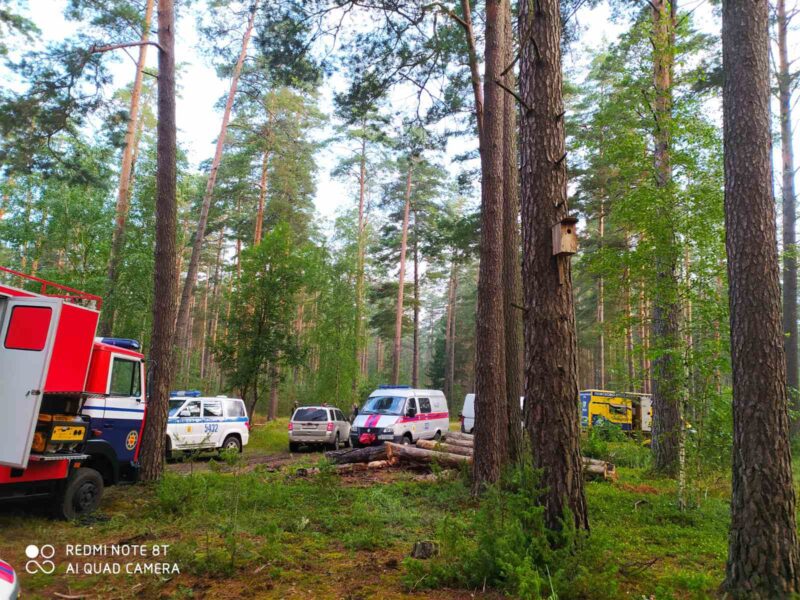 В Беловежской пуще снова искали заблудившихся подростков - там, где пропал Максим Мархалюк