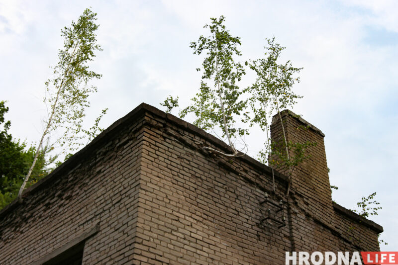 Храм в спортзале и приют для котиков. Как сейчас выглядит бывший военный городок на Фолюше, который скоро исчезнет