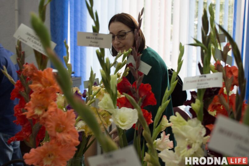 “Были бы Грушевые, занимались бы грушами”. Алла Квятковская рассказала, как выращивает 10 000 гладиолусов и почему любит “Свет далёкой звезды”