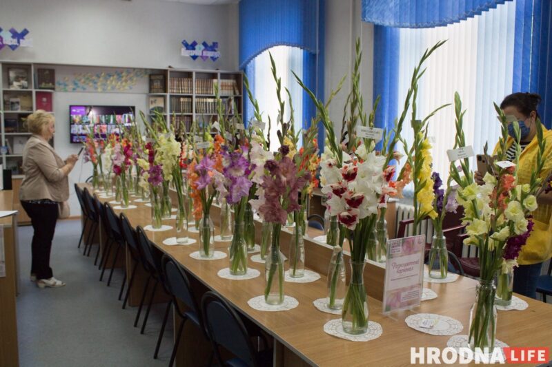 “Были бы Грушевые, занимались бы грушами”. Алла Квятковская рассказала, как выращивает 10 000 гладиолусов и почему любит “Свет далёкой звезды”