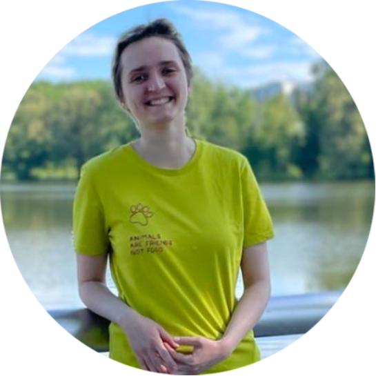 Путешествие со смыслом. Есть возможность поехать в Гватемалу волонтёрить в благотворительном проекте