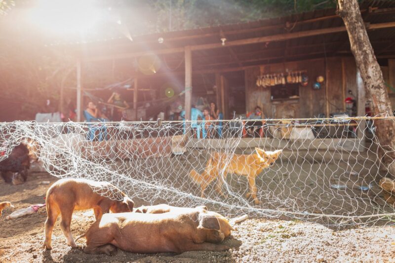 Путешествие со смыслом. Есть возможность поехать в Гватемалу волонтёрить в благотворительном проекте