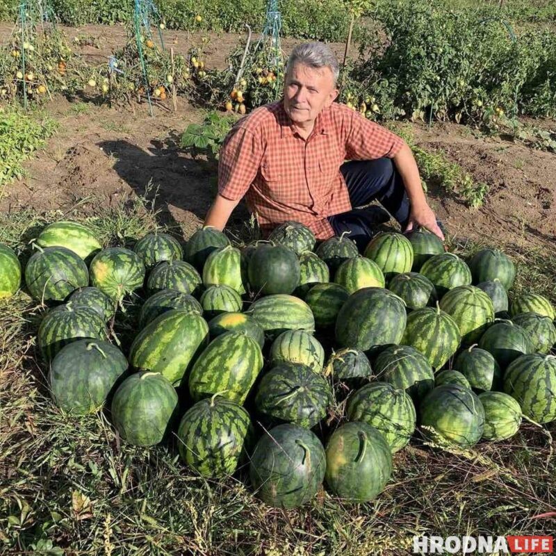 Байки с дачи и рецепты заготовок от Николая Таранды Байки с дачи и рецепты заготовок от Николая Таранды