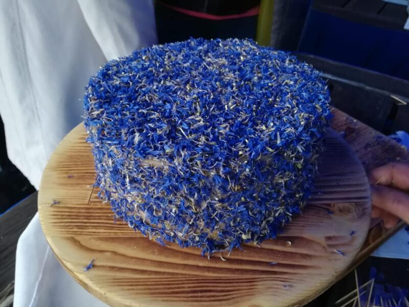 Дождь, сыр за 80 рублей и не приехавший Кай Метов. Как прошел День города в Гродно