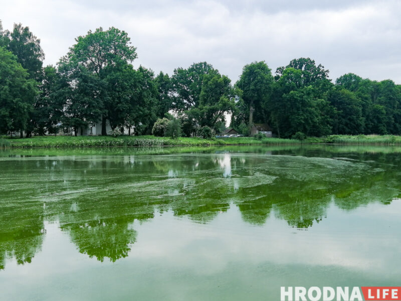 "Нас не ліквідуюць, пакуль не атрымаюць грошы?" У Навагрудскім раёне ўлады разарвалі пагадненне з фондам, які дапамог выйграць грант ЕС