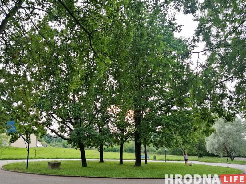 Не хватает районных скверов. Для Гродно готовят схему зеленых зон, которые будут охранять