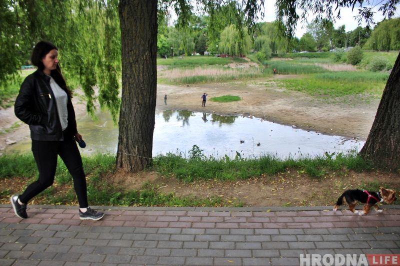 Возле пруда на Репина появится торговый объект: он начнет работу в следующем сезоне Пруд на ул. Репина в 2021 году. Фото: Hrodna.life