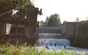 "Шлях Тызенгаўза" признали лучшим туристическим продуктом Подляшья