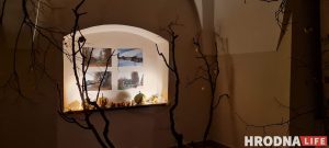 Фотовыставку Наталии Дорош "Карані" открыли в Вильнюсе. Снимки смотрели под стихи Ларисы Гениюш Фотовыставку Наталии Дорош "Карані" открыли в Вильнюсе. Снимки смотрели под стихи Ларисы Гениюш