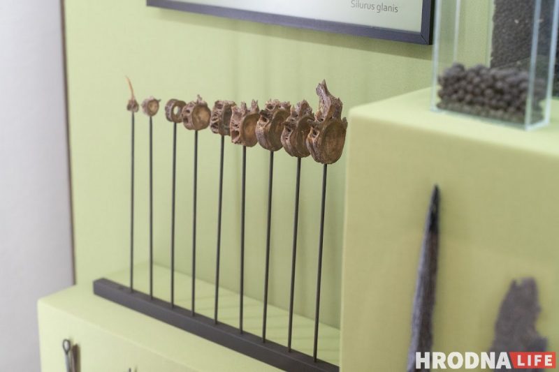 Неприступный Старый замок: Аня в инвалидной коляске попала только в один зал, Лера с ДЦП боялась спускаться по лестнице без перил