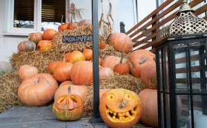 Хэллоуин в Гродно бар Подвал