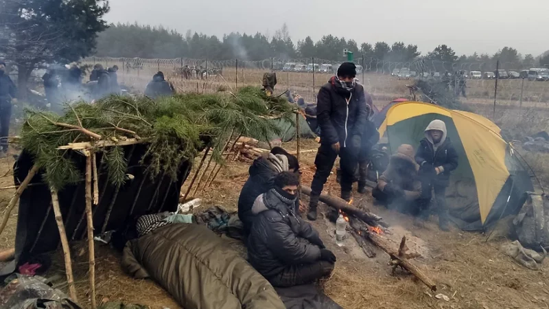 Некоторые пришли пешком, визы просрочены, понимают, что их используют. Что рассказали мигранты из лагеря под Гродно