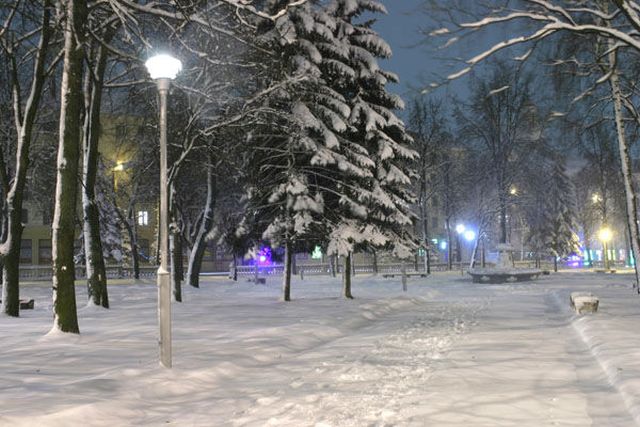 “Уничтожили за один вечер”. Как 15 лет назад Советская площадь осталась без единого дерева