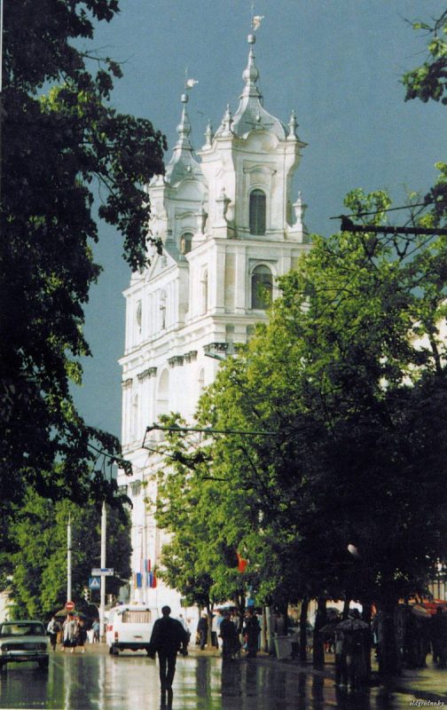 “Уничтожили за один вечер”. Как 15 лет назад Советская площадь осталась без единого дерева