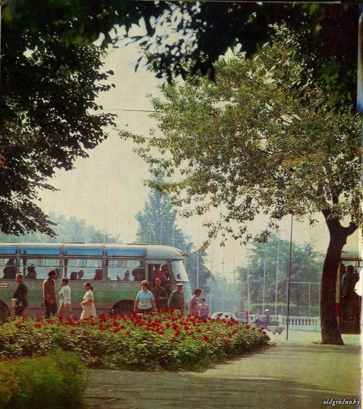 “Уничтожили за один вечер”. Как 15 лет назад Советская площадь осталась без единого дерева