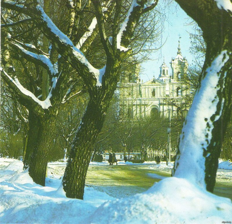 “Уничтожили за один вечер”. Как 15 лет назад Советская площадь осталась без единого дерева