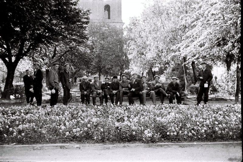 “Уничтожили за один вечер”. Как 15 лет назад Советская площадь осталась без единого дерева